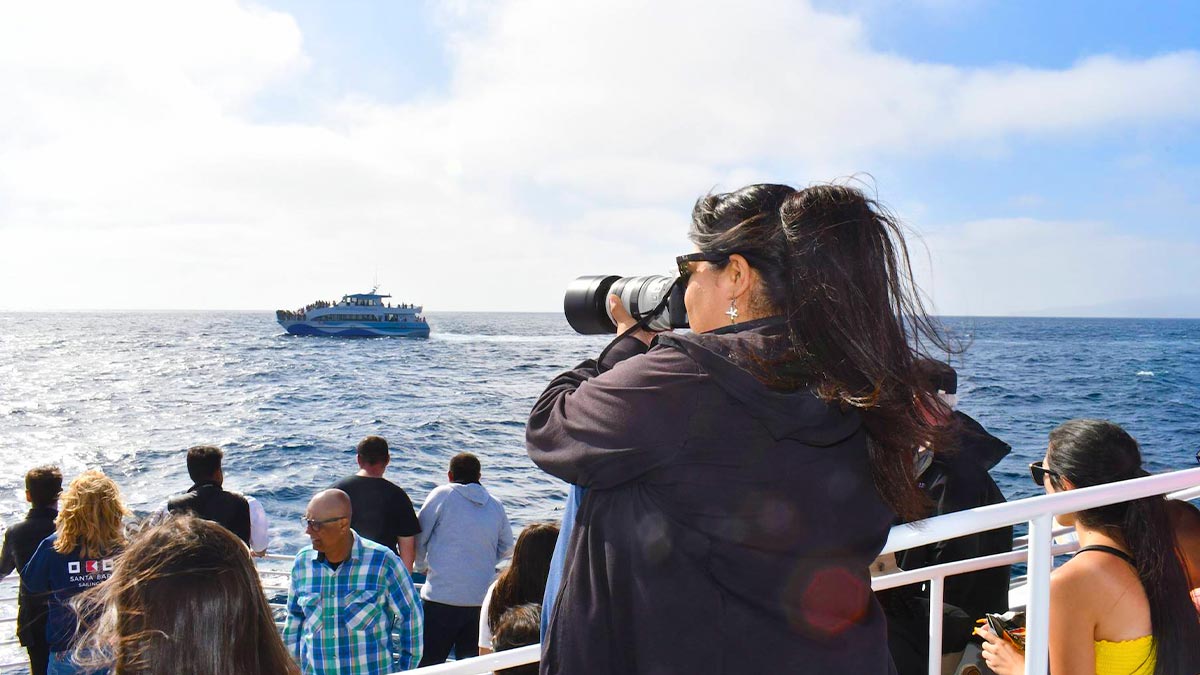 woman holding camera taking photos